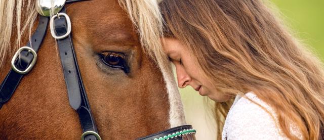 Paard en vrouw coach