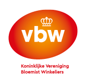 VBW Logo 