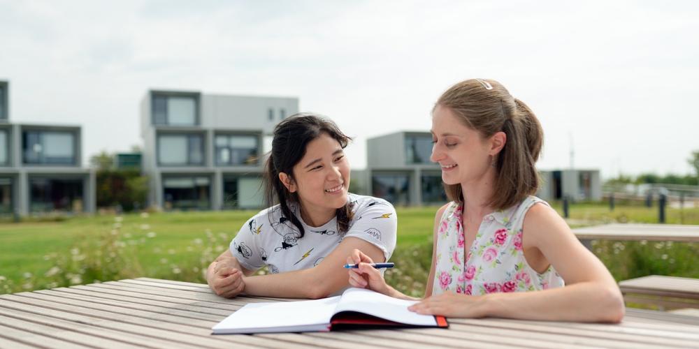 student met een zzp'er als stagebegeleider