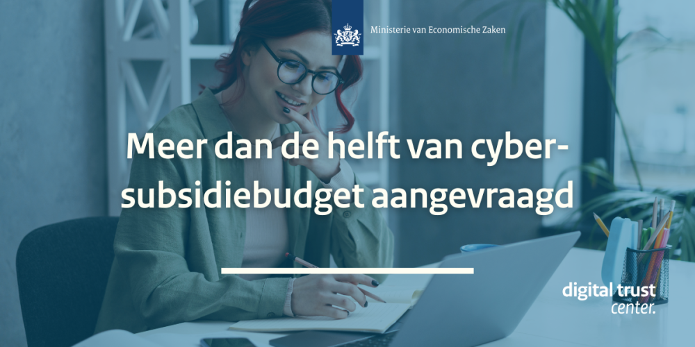 cyber subsidie