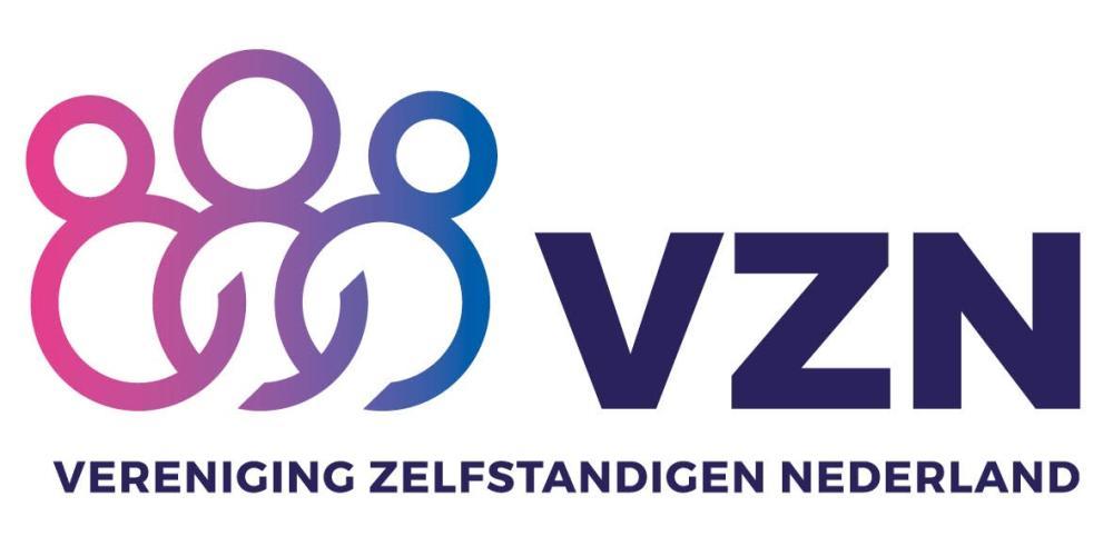 VZN Logo